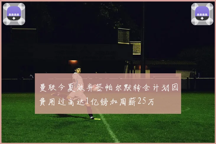 曼联今夏放弃签帕尔默转会计划因费用过高达1亿镑加周薪25万